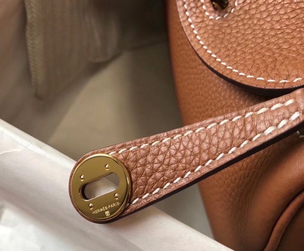 Hermes Mini Lindy Bag In Brown Clemence Leather