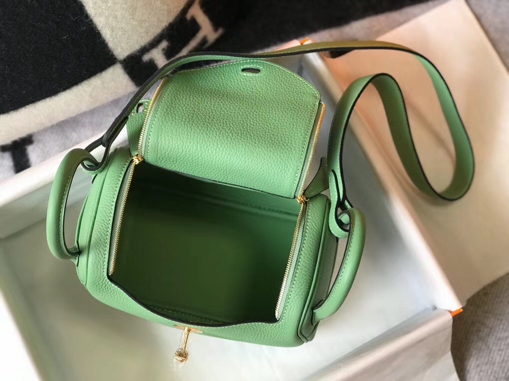 Hermes Lindy Mini Bag In Vert Criquet Clemence Calfskin