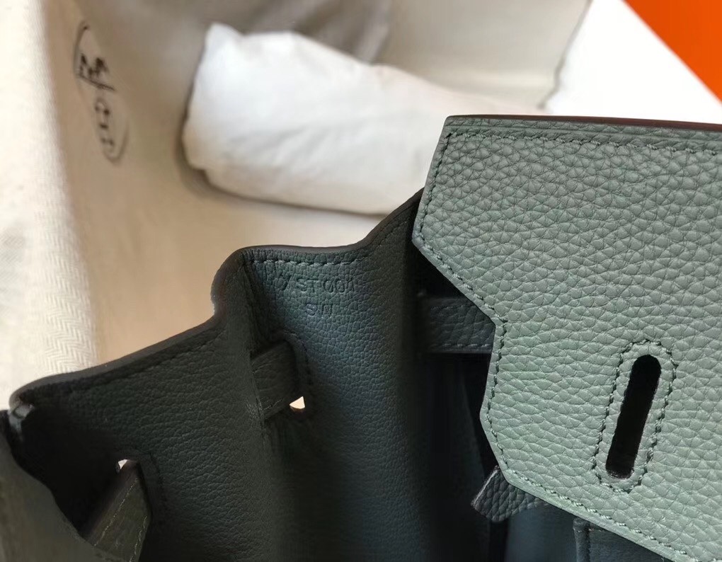 Hermes Vert Amande Clemence Birkin 30cm Bag GHW