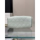 CHANEL 25 mini Handbag in Light Green(20*22*12.5cm)