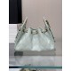 CHANEL 25 mini Handbag in Light Green(20*22*12.5cm)
