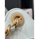 CHANEL 25 mini Handbag in Light Green(20*22*12.5cm)