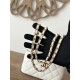 Chanel 22S white gold cosmetic bag