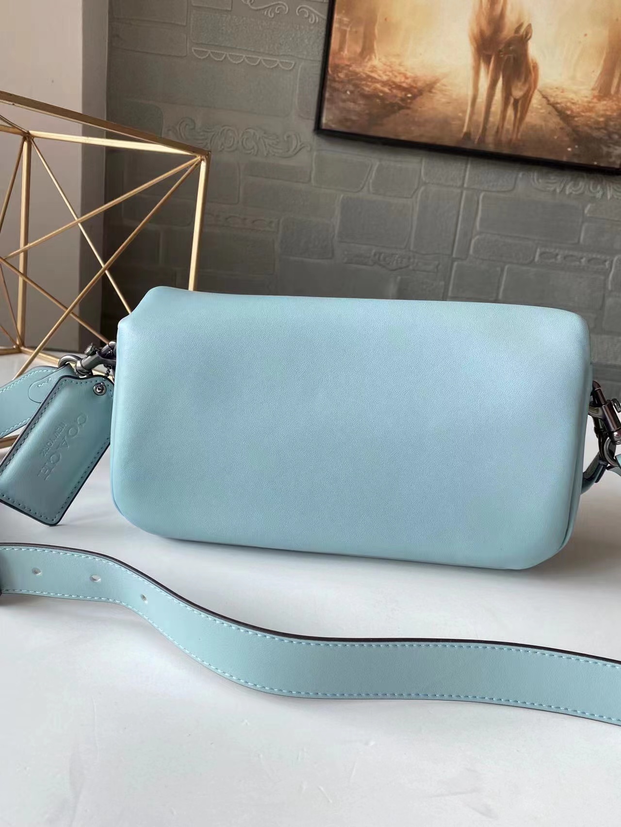 Coach Pillow Tabby leather handbag