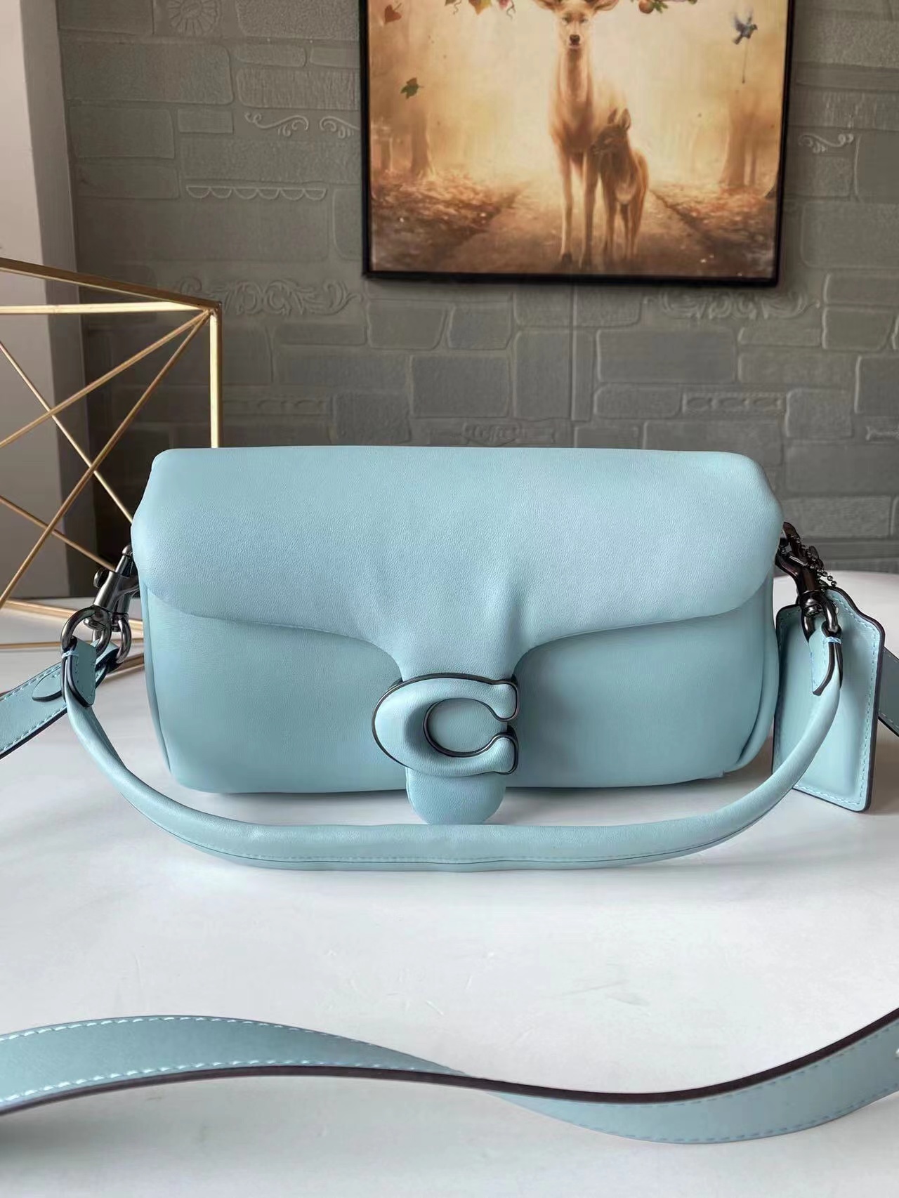 Coach Pillow Tabby leather handbag