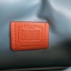 Coach Pillow Tabby leather handbag