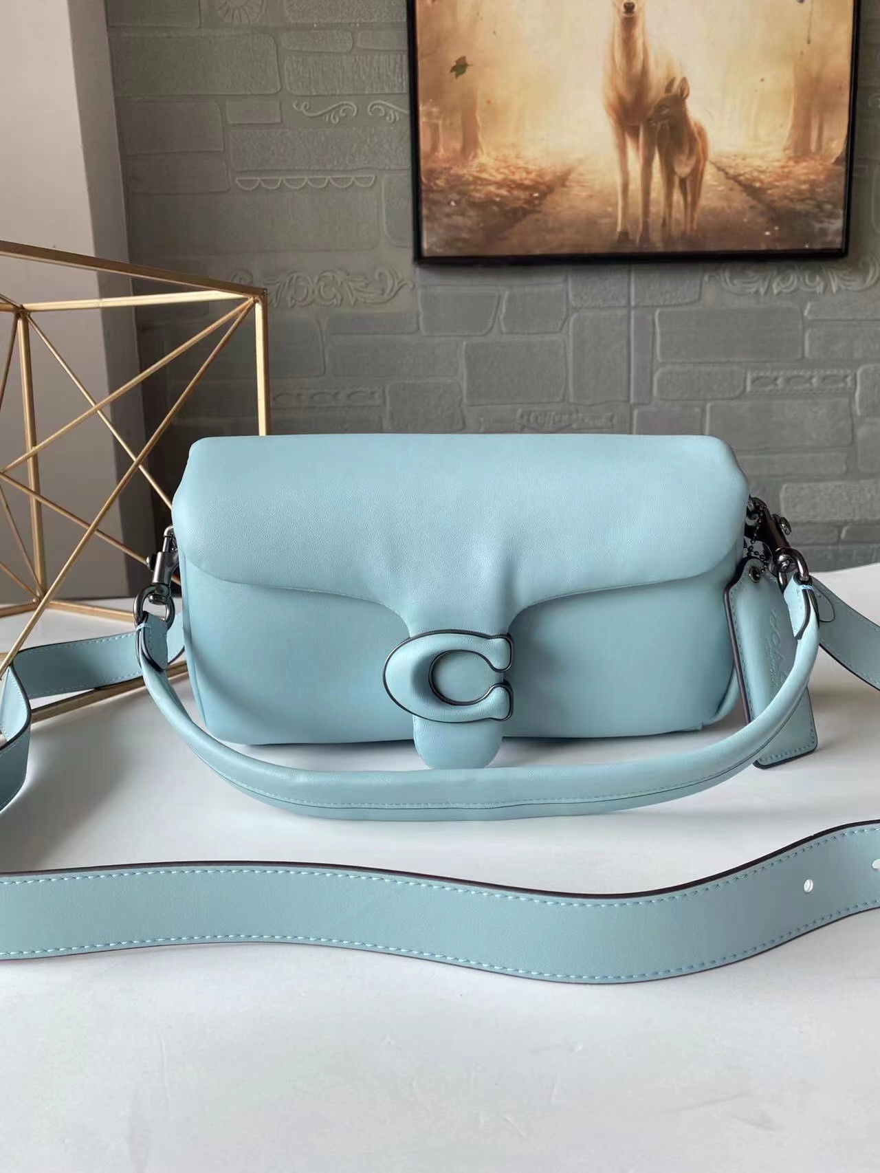Coach Pillow Tabby leather handbag