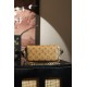 Louis Vuitton Wallet On Chain Ivy M26587
