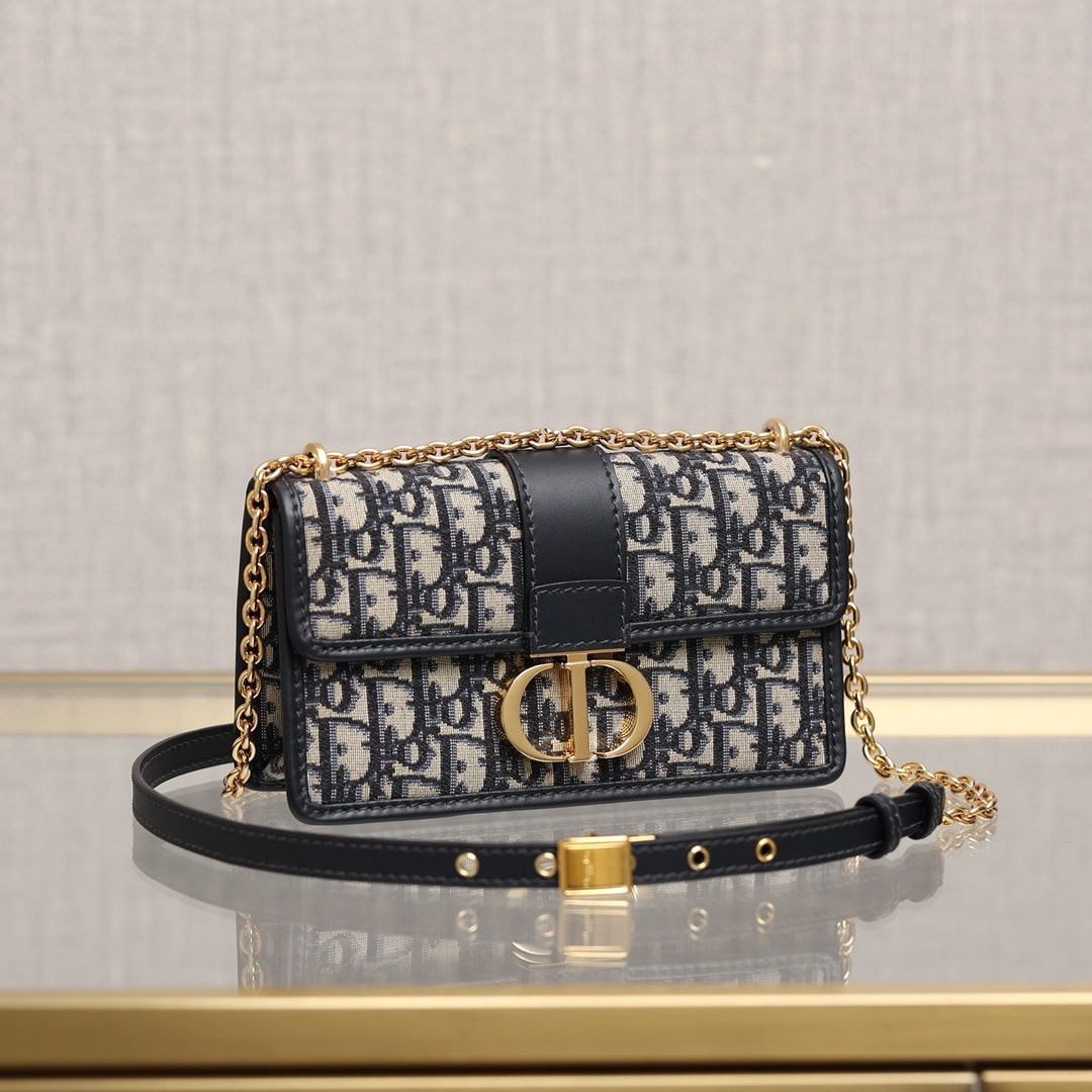 Dior 30 Montaigne Series East West Handbag small