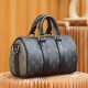 Louis Vuitton KeePall City25 M46271